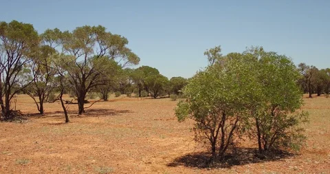 Australian Outback track across empty outback bush landscape Video stock 114115019