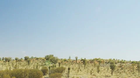 Australian outback trees and scrub aerial shot Stock Footage 45606973