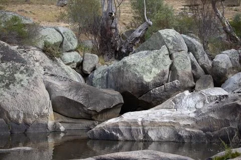 Australian Pond 스톡 사진