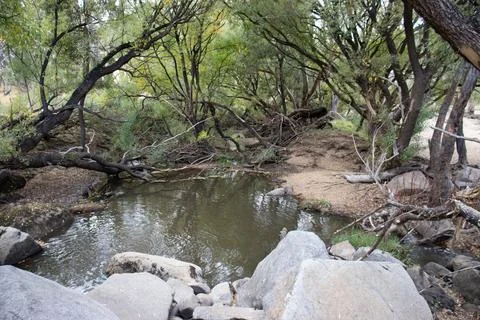 Australian Pond 스톡 사진