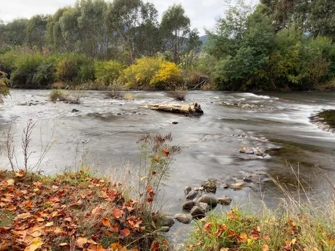 Australian river stream slow shutter motion blur effect Stock Photos
