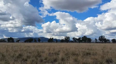 Australian Rural Landscape Stock Footage 40540247