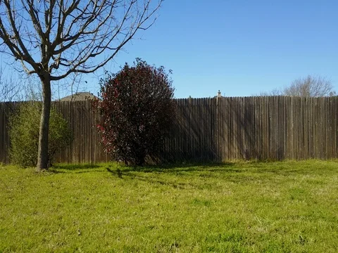 Australian shepherd dog fetching ball - tracking shot Stock Footage