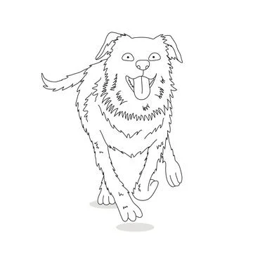 Australian shepherd run vector in black line Stock Illustration