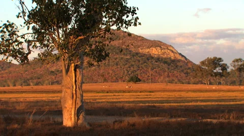 Australian sunset Stock Footage 1068951