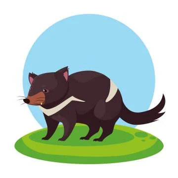 Australian tasmanian devil with background landscape Illustrazione stock
