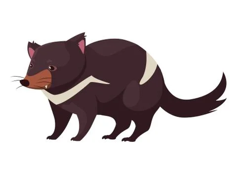 Australian tasmanian devil on white background Stockillustratie