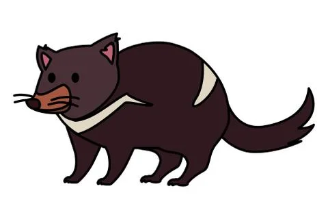 Australian tasmanian devil on white background Stock Illustration