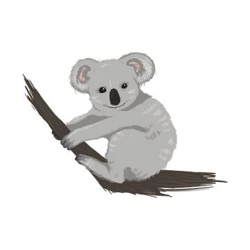 Australian vector animal Stock Illustration