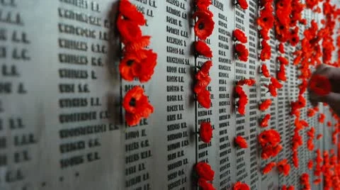 Australian War Memorial-1 Stock Footage 10594569