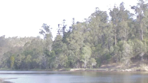 Australian Wilderness in Queensland Stock Footage 86665172