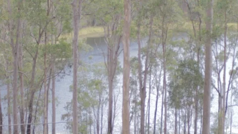 Australian Wilderness in Queensland Stock Footage 86665556
