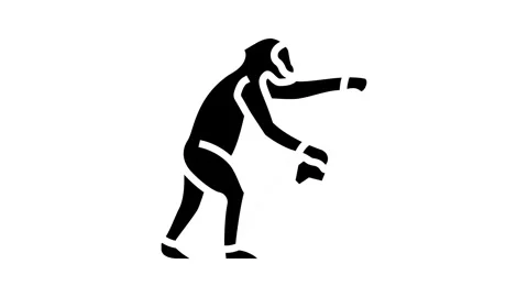 Australopithecus human evolution glyph icon animation Stock Footage 326155540