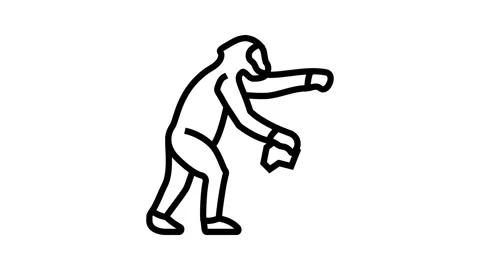 Australopithecus human evolution line icon animation Stock Footage 326134025