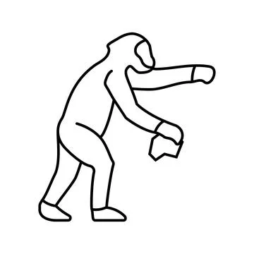 Australopithecus human evolution line icon vector illustration Stock Illustration