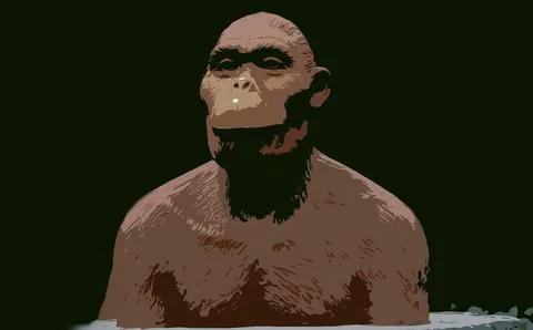 Australopithecus species Stock Illustration
