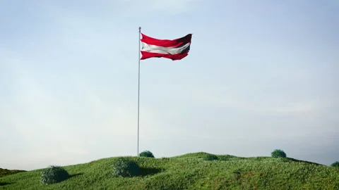 Austria, Austrian flag waving in the wind on a beautiful landscape.  動画素材 168070614