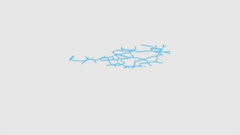 Austria Country Line Map Self Drawing Animated Overlay, Alpha 4K 스톡 동영상 340289834