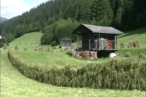 Austria Drying hay Stock Footage 463632