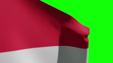 Austria Flag  Close Видео 133538085