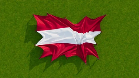Austria flag Stock Footage 201456507