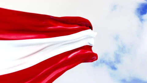 Austria Flag Video close-up. Waving Austria Flag Stock Footage 238612434