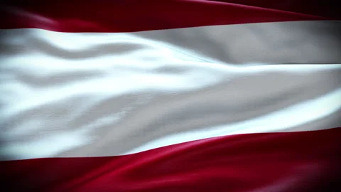 Austria Flag. Waving Austria Flag. Wavy National Austrian Flag, Austrian symbol Stock Footage 237738056