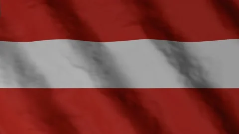 Austria flag waving in the wind. Austrian national flag video footage.	 Stock Footage 168441775