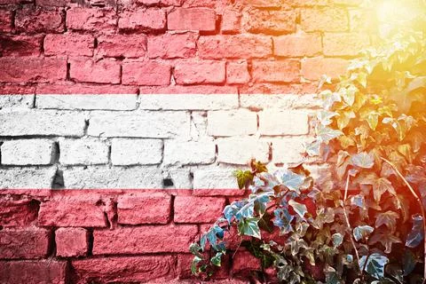 Austria grunge flag on brick wall with ivy plant sun haze view Stock Illustration