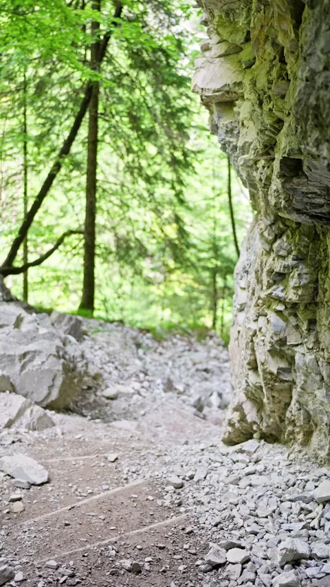 Austria. Hermagor. Garnitzenklamm. Delve into the tranquil and serene beauty of Video stock 314894072