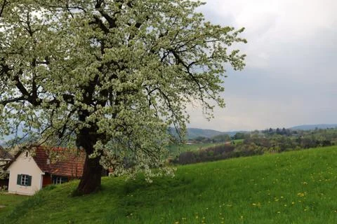Austria Landscape Stock Photos