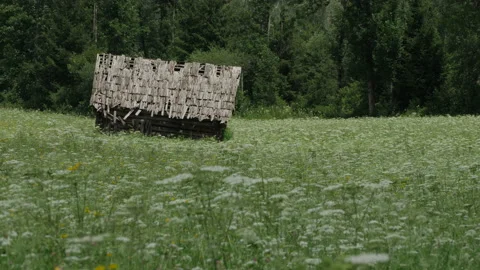 Austria mountain meadow scene Stock Footage 201221075