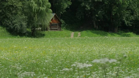 Austria mountain meadow scene Stock Footage 201221660