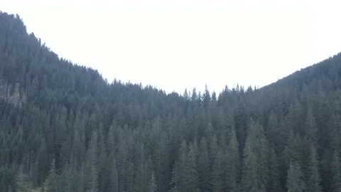 Austria - Mountains #7 Stock Footage 211689529