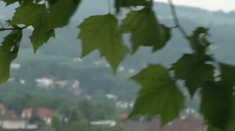 Austria nature 動画素材 21656214