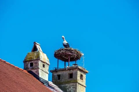 Austria, rust. nest of a stork 스톡 사진