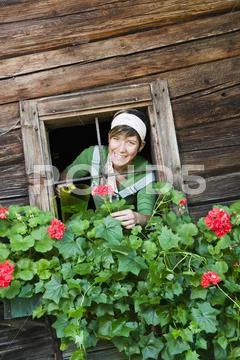 Austria, Salzburg land, mountain pasture Stock Photos