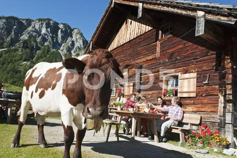 Austria, Salzburg, Men and women sitting and drinking at alpine hut Stock Photos