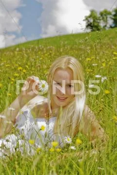 Austria, Salzburger Land, Altenmarkt, Young woman in meadow holding flower, Stock Photos