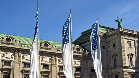 Austria September 2018. Flags of the OSCE headquarters in the Hofburg Vienna Stock Footage 99536345