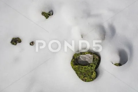 Austria, Snow Melting, Full Frame