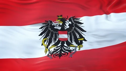 Austria (state) flag waving in the wind with highly detailed fabric texture 動画素材 120655517