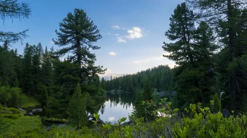 Austria Timelapse Forest Lake Stock Footage 153293093