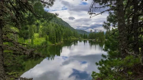 Austria Timelapse Forest Lake Stock Footage 153293173