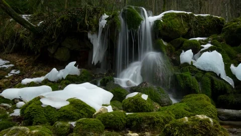 Austria Timelapse Forest River Stock Footage 153290961