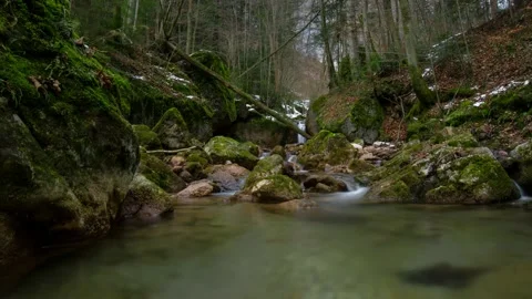 Austria Timelapse Forest River Stock Footage 153290963