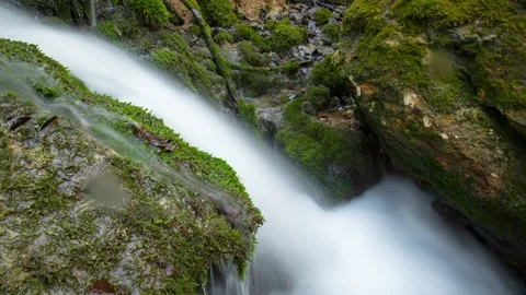 Austria Timelapse Forest River Stock Footage 153291040