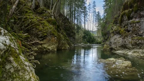 Austria Timelapse Forest River Stock Footage 153291895