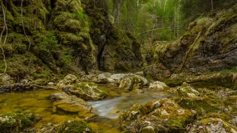 Austria Timelapse Forest River Stock Footage 153291968