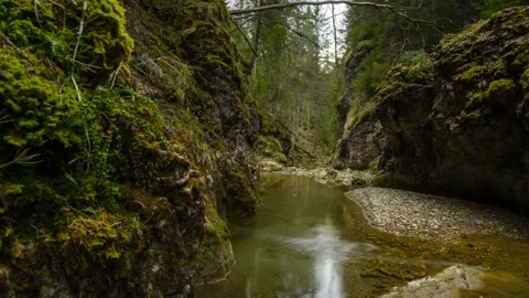 Austria Timelapse Forest River Stock Footage 153291993